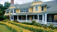 ART_davidshouse_716x403.jpg