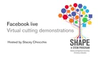 Virtual cut demonstrations